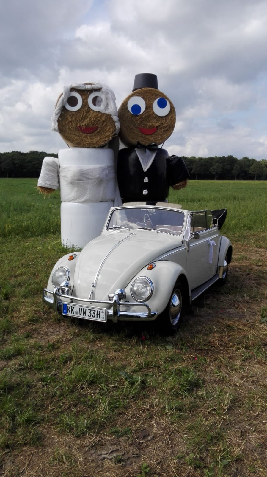 Oldtimer VW Käfer Kabrio Cabrio für Hochzeiten, Oldtimer - 6563963194